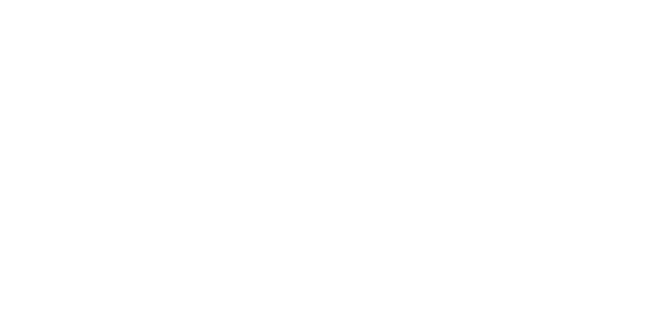 Aritzia-300