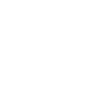 surrey-300